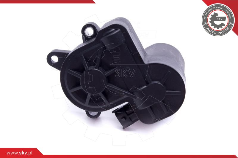 Control Element, parking brake caliper