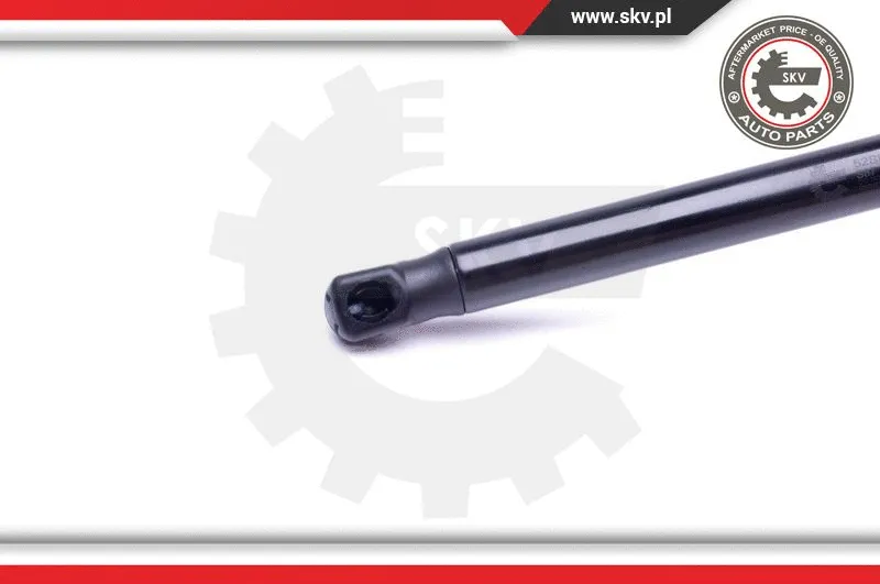 Gas Spring, boot/cargo area