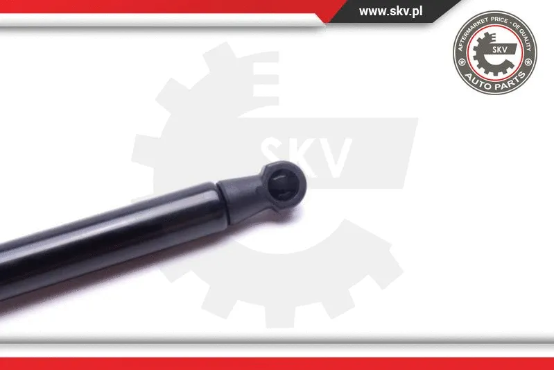 Gas Spring, bonnet