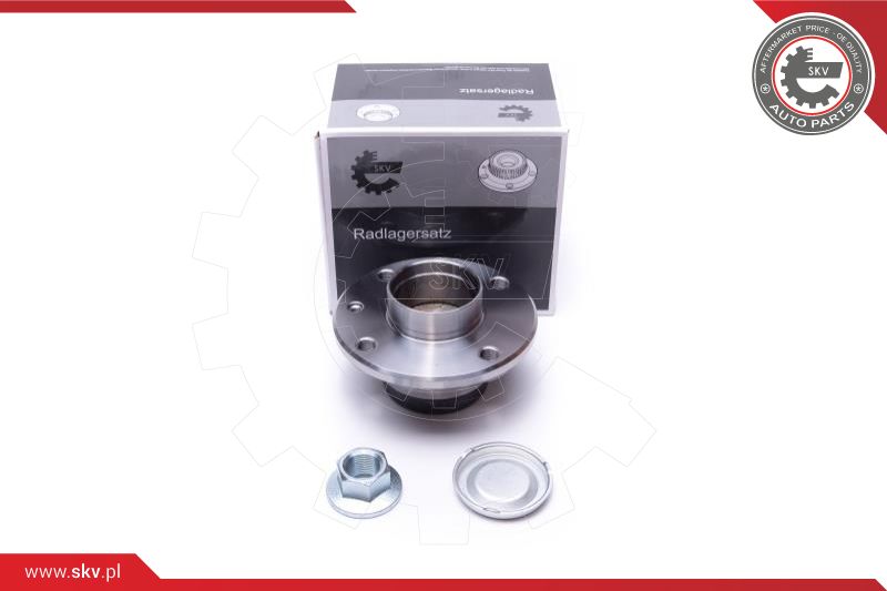 Wheel Bearing Kit (29SKV544)