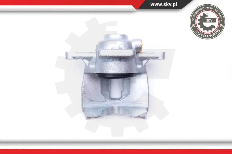 Brake Caliper (42SKV362)