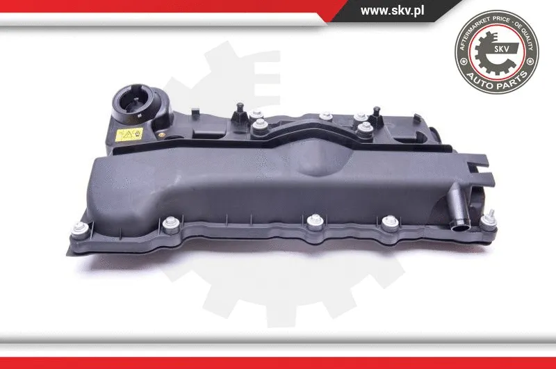 Cylinder Head Cover (48SKV012)