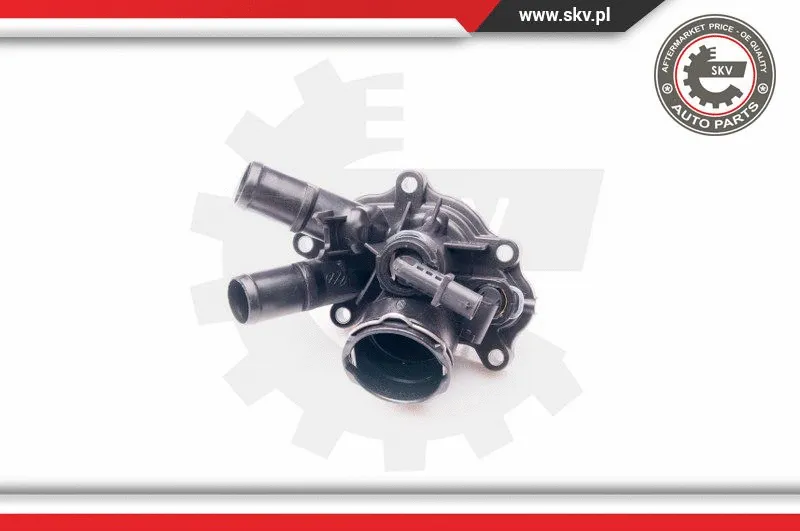 Thermostat, coolant