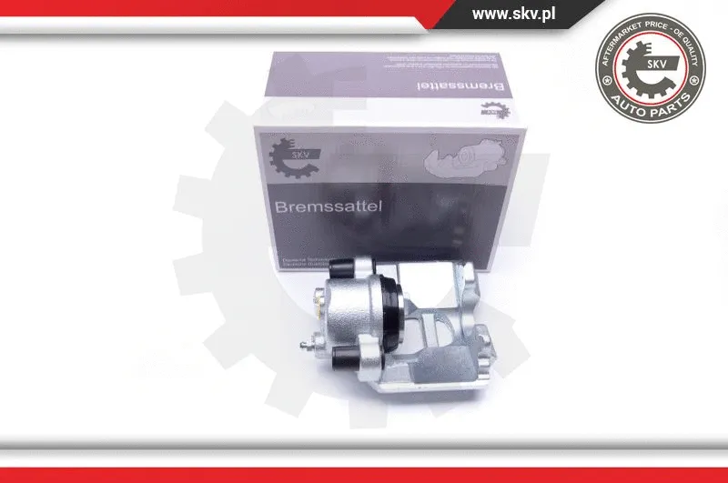 Brake Caliper (42SKV621)