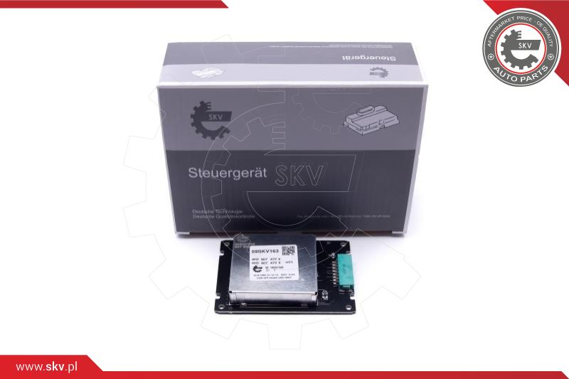 Control Unit, lights (59SKV163)