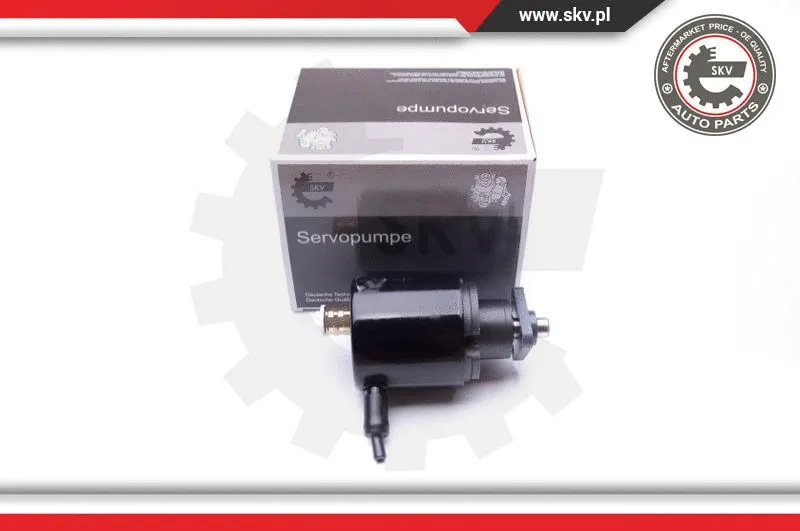 Hydraulic Pump, steering (10SKV280)
