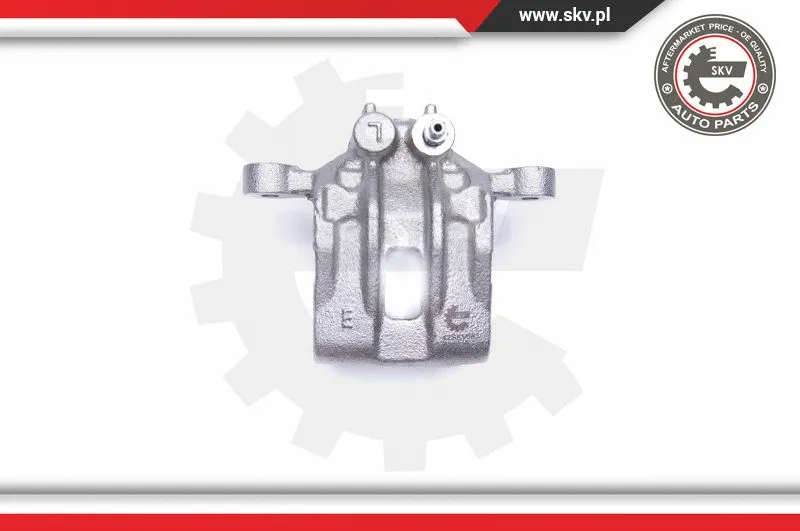 Brake Caliper (42SKV563)