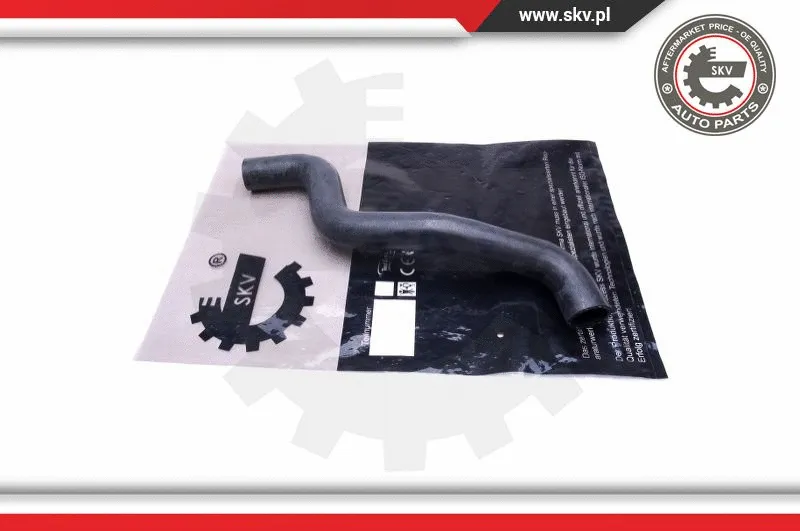 Radiator Hose (43SKV869)