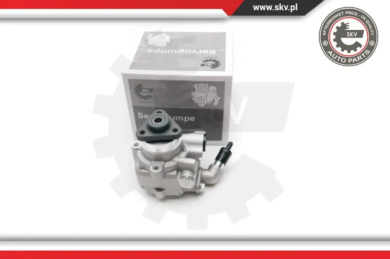 Hydraulic Pump, steering (10SKV194)