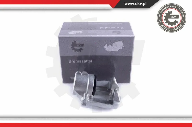 Brake Caliper (55SKV042)
