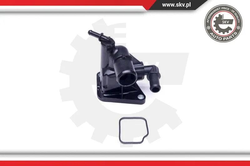 Thermostat, coolant
