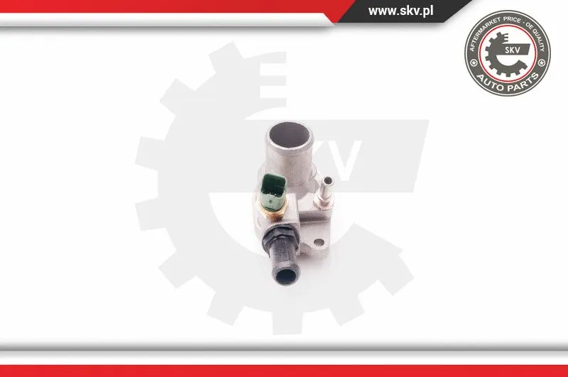 Thermostat, coolant