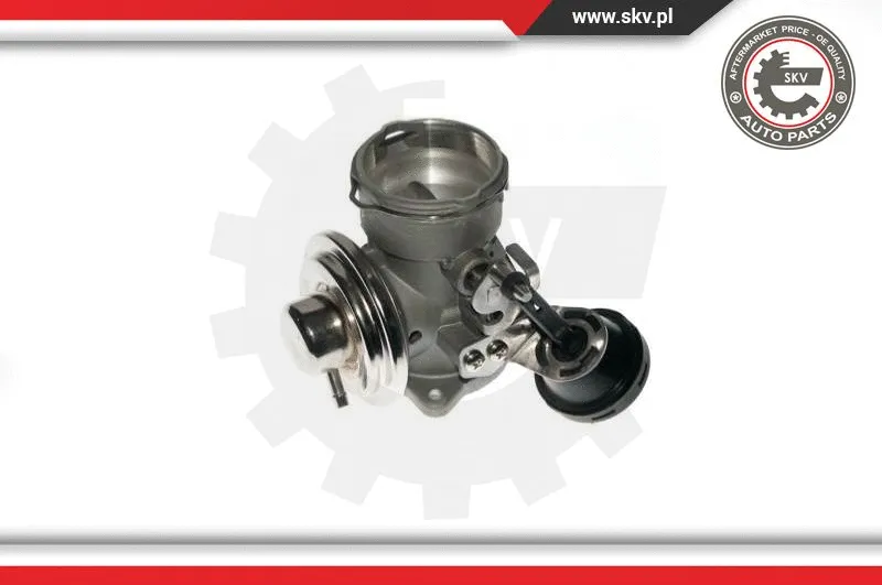 EGR Valve