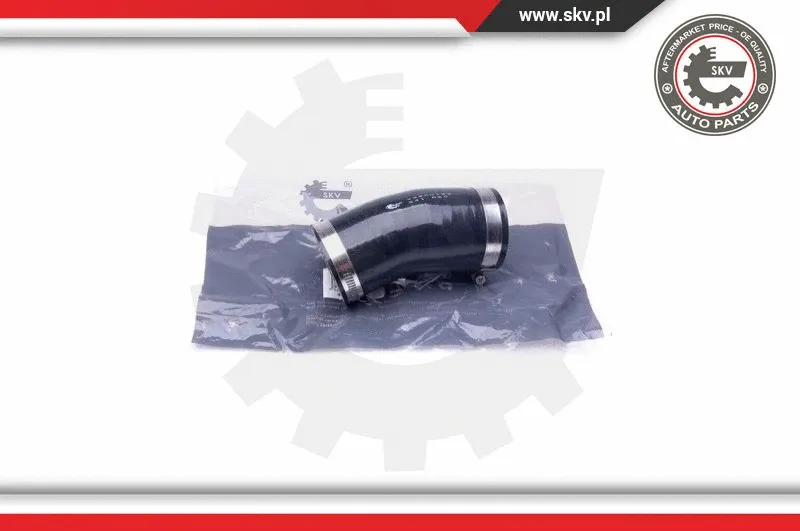 Charge Air Hose (43SKV123)