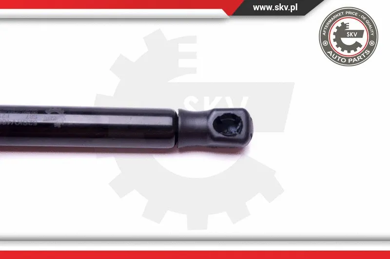 Gas Spring, boot/cargo area