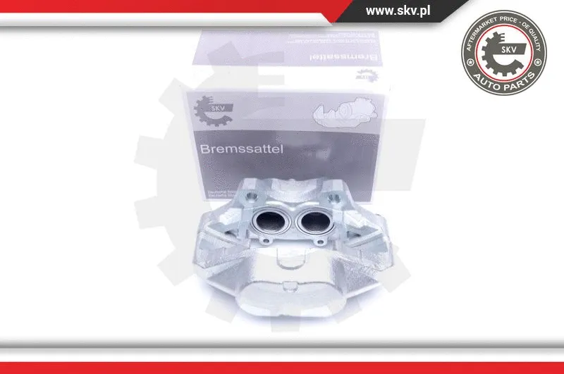 Brake Caliper (45SKV502)