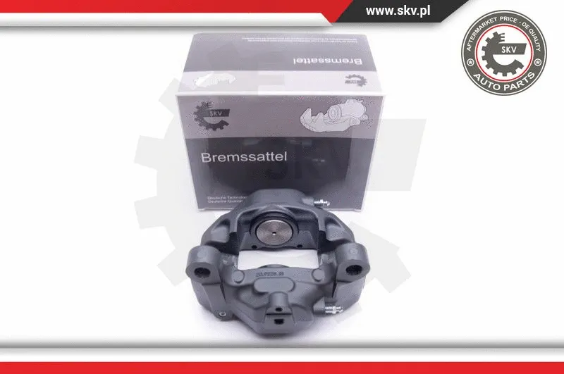 Brake Caliper (42SKV413)