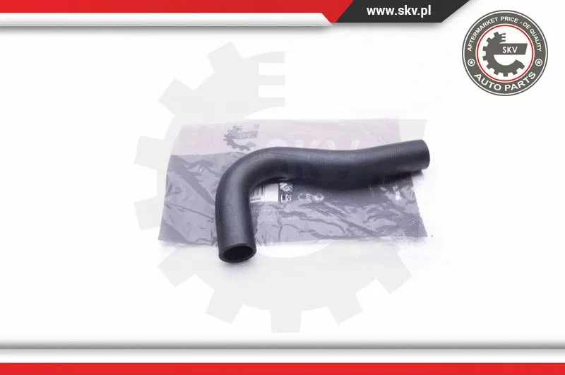 Radiator Hose (43SKV704)