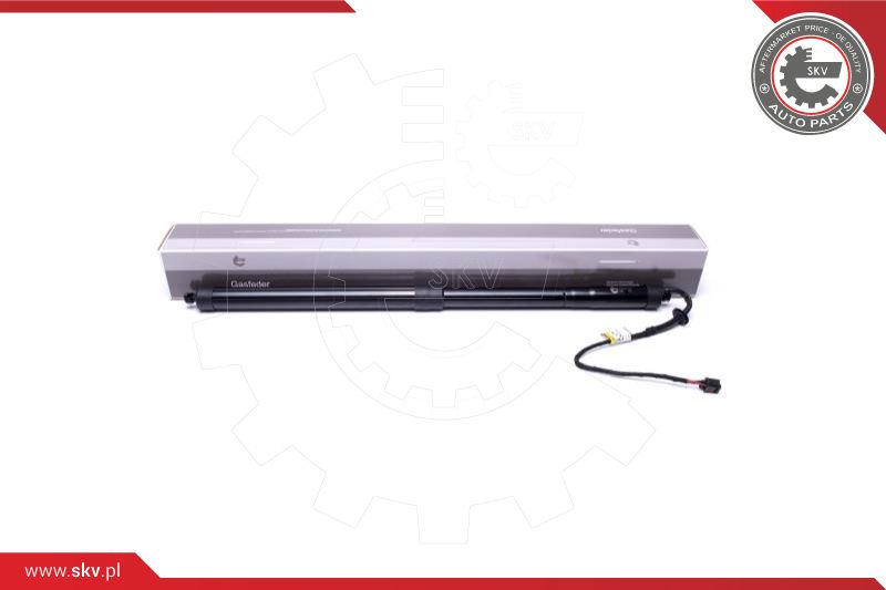 Electric Motor, tailgate (52SKV910)