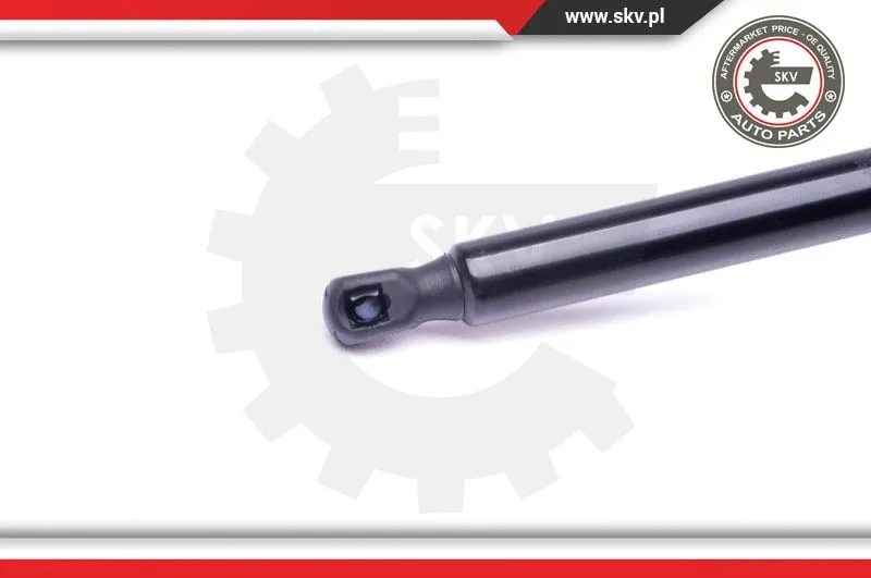 Gas Spring, boot/cargo area