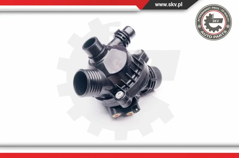 Thermostat, coolant