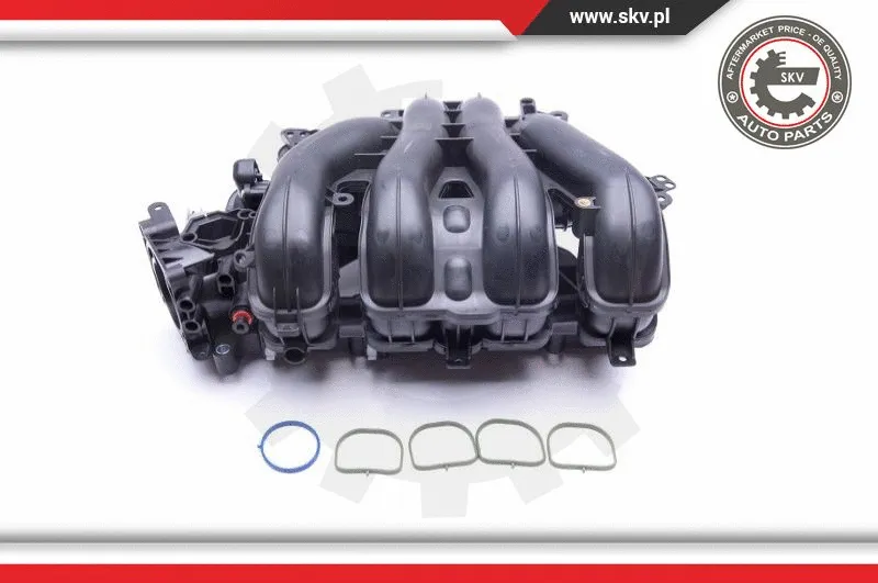 Intake Manifold Module