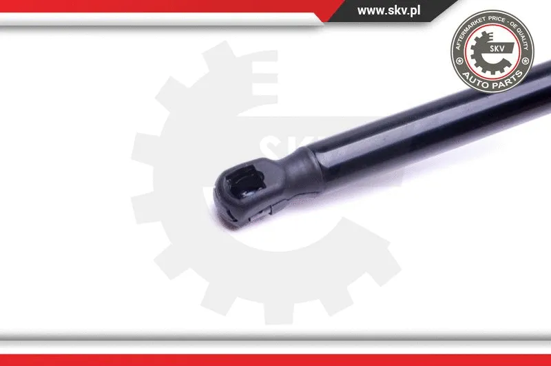 Gas Spring, boot/cargo area