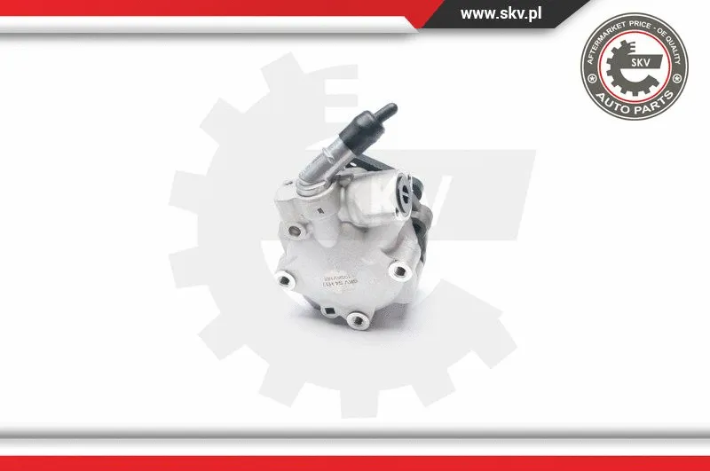 Hydraulic Pump, steering (10SKV187)