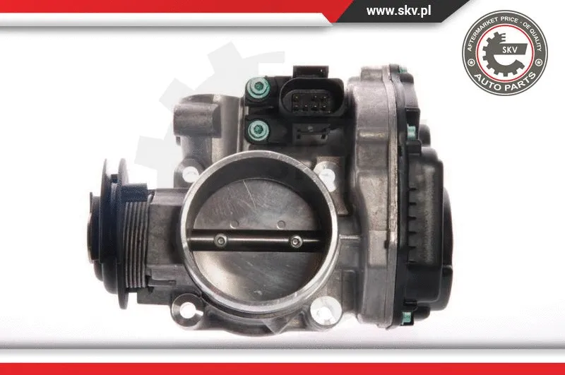 Throttle Body