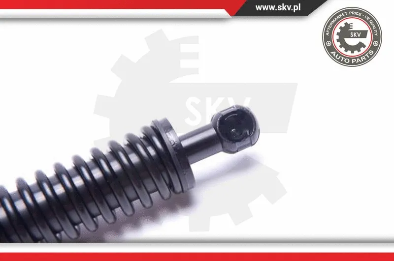 Gas Spring, boot/cargo area