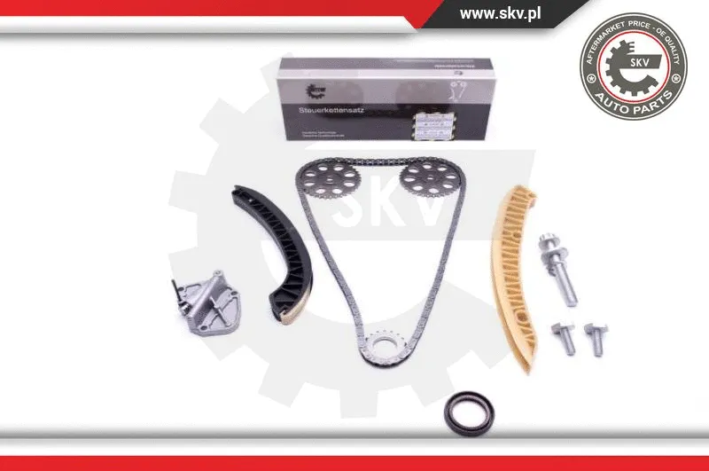 Timing Chain Kit (21SKV177)