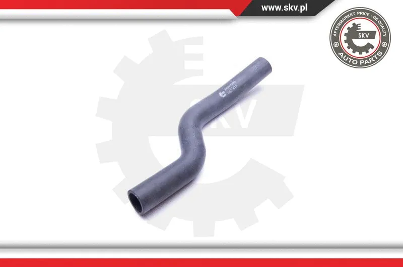 Radiator Hose (24SKV393)