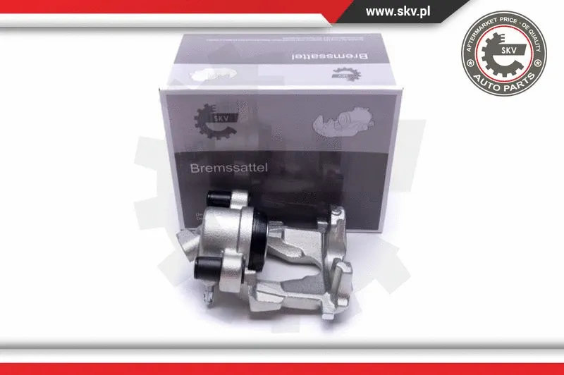 Brake Caliper (55SKV731)