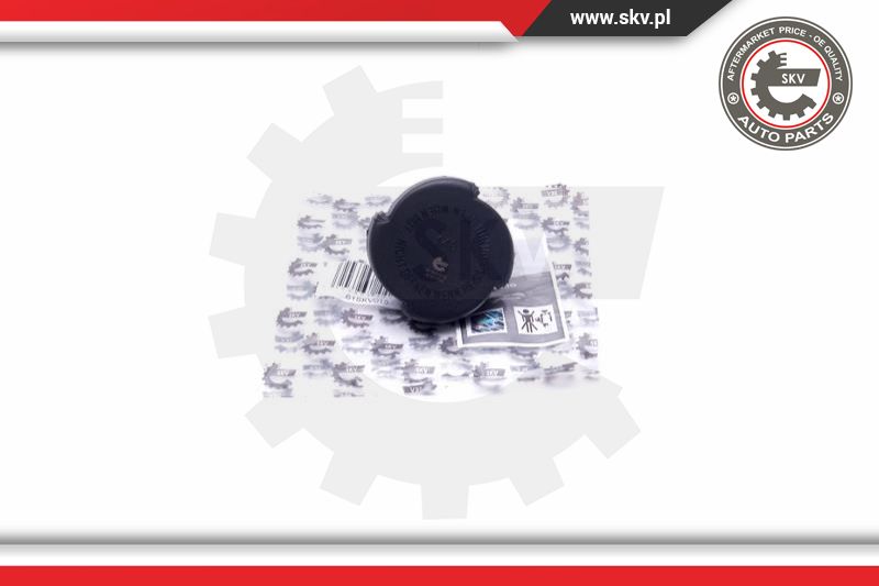 Cap, coolant tank (61SKV015)