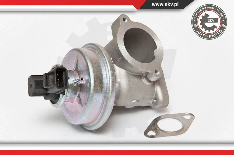EGR Valve (14SKV061)