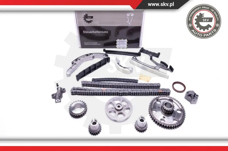 Timing Chain Kit (21SKV202)