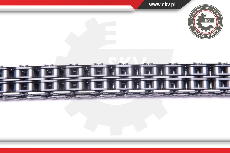 Timing Chain Kit (21SKV200)