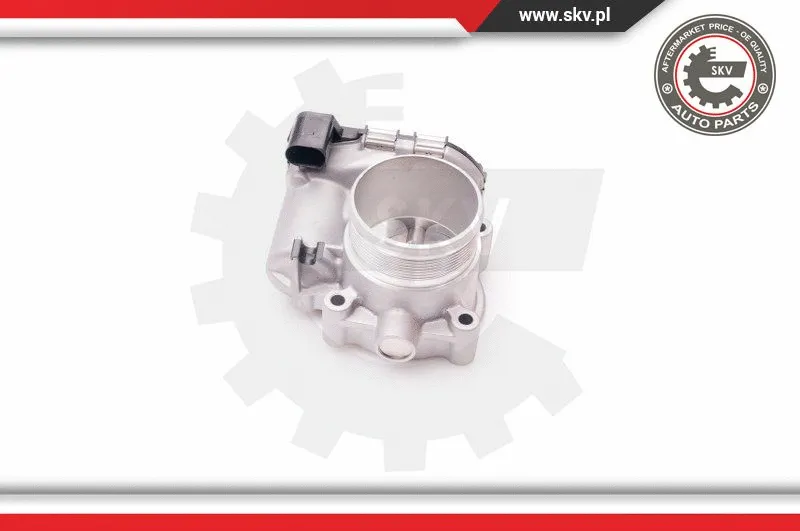 Throttle Body