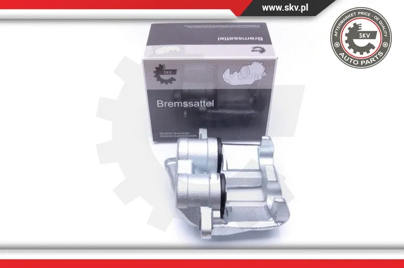 Brake Caliper (42SKV741)