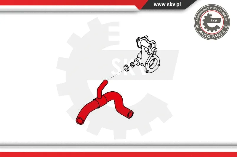 Radiator Hose (24SKV347)