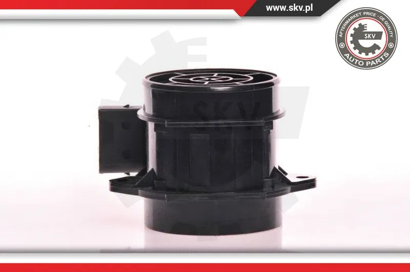 Mass Air Flow Sensor