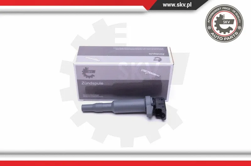 Ignition Coil (03SKV291)