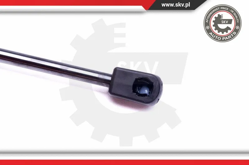 Gas Spring, boot/cargo area