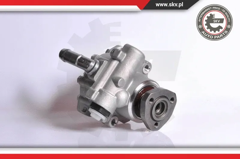 Hydraulic Pump, steering (10SKV152)