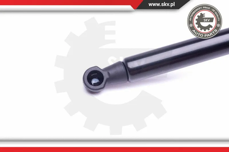 Gas Spring, boot/cargo area
