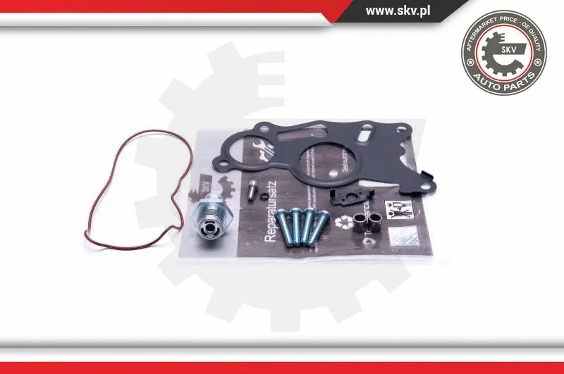 Repair Set, vacuum pump (braking system) (18SKV803)