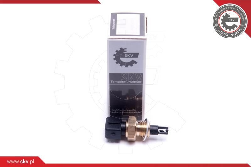Sensor, intake air temperature (17SKV685)
