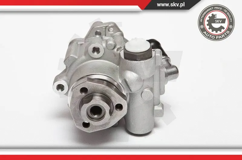 Hydraulic Pump, steering (10SKV018)
