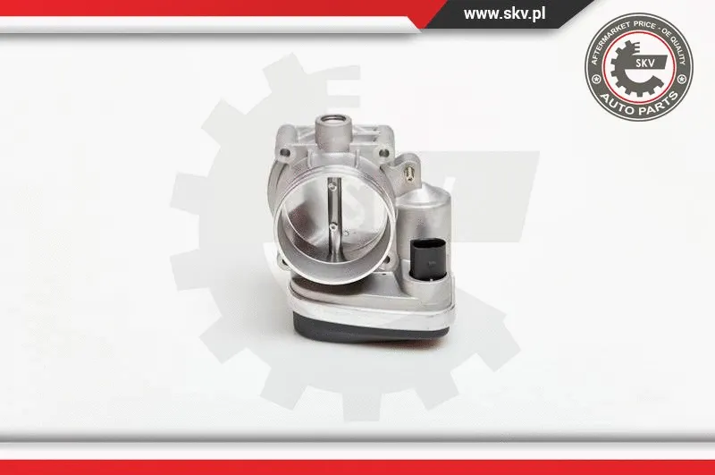 Throttle Body (12SKV040)