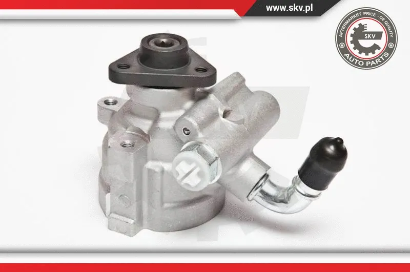 Hydraulic Pump, steering (10SKV064)